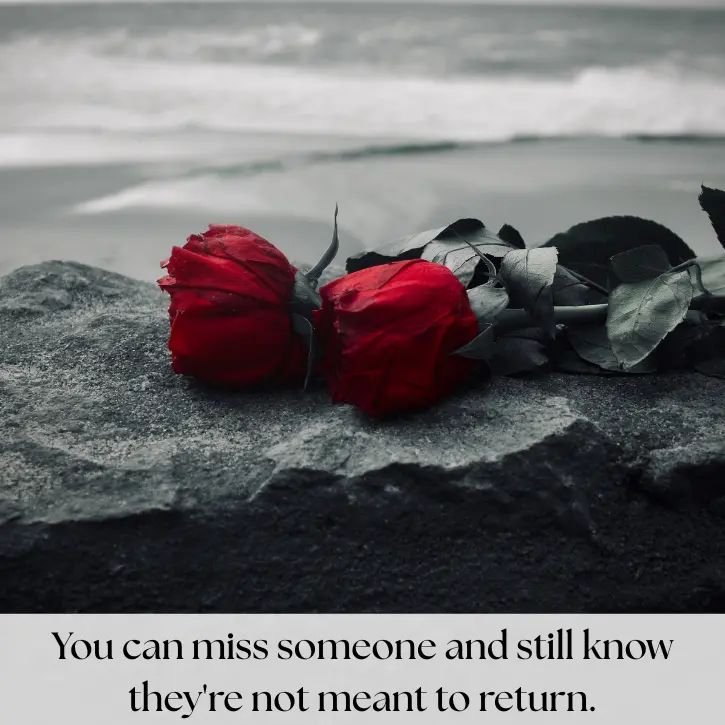 move on quotes, accepting and moving on quotes, letting go quotes, life moving on quotes, relationship move on quotes, healing quotes, moving forward quotes, quotes about new beginnings, emotional healing quotes, breakup move on quotes, inspirational move on quotes
