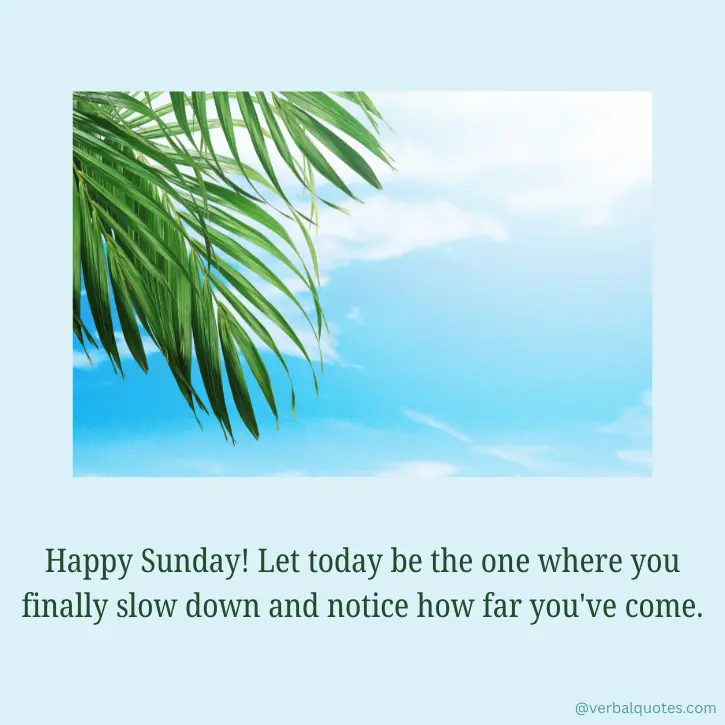 good afternoon sunday blessings, sunday afternoon blessings, good afternoon sunday, sunday blessings, sunday blessing images, sunday afternoon quotes, happy sunday blessings, blessed sunday